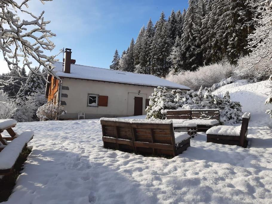 Ferme De Chenezeau - 15 Personnes , 7 Chambres Gérardmer Екстериор снимка