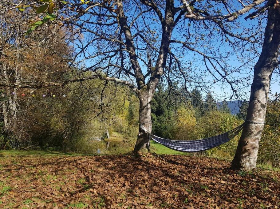 Ferme De Chenezeau - 15 Personnes , 7 Chambres Gérardmer Екстериор снимка