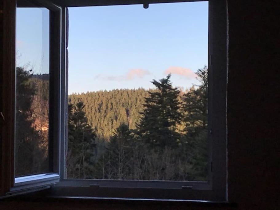 Ferme De Chenezeau - 15 Personnes , 7 Chambres Gérardmer Екстериор снимка
