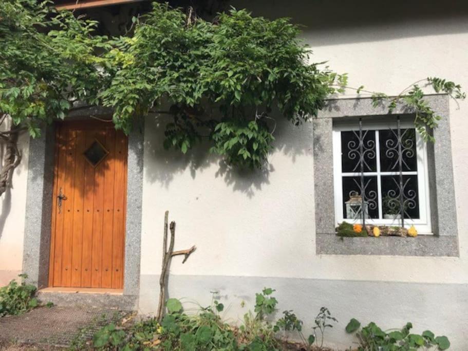 Ferme De Chenezeau - 15 Personnes , 7 Chambres Gérardmer Екстериор снимка