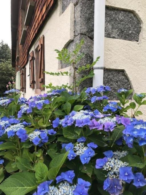 Ferme De Chenezeau - 15 Personnes , 7 Chambres Gérardmer Екстериор снимка
